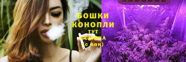 трава Наволоки