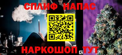 apvp Гусев