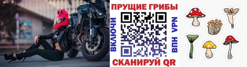 даркнет сайт  Новозыбков  Галлюциногенные грибы ЛСД 