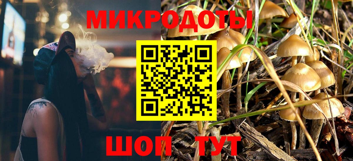 Галлюциногенные грибы MAGIC MUSHROOMS  Псилоцибиновые грибы мухоморы  Новозыбков  Вход с VPN 