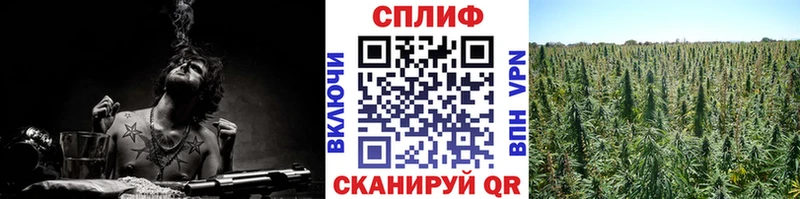 Шишки марихуана MAZAR Новозыбков
